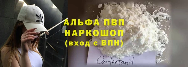 a pvp Коряжма