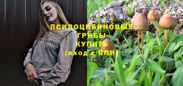дмт Корсаков