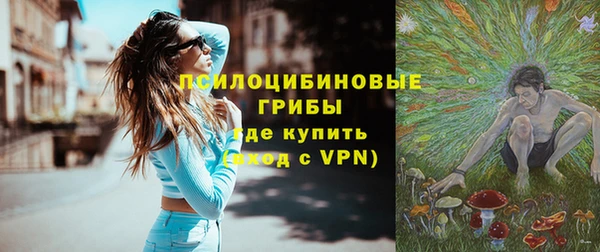 a pvp Коряжма