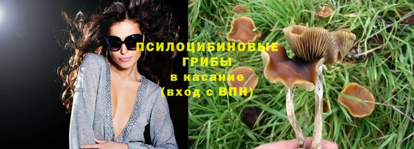 дмт Корсаков